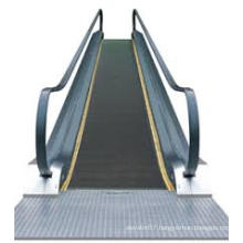 Moving Walk/ Passenger Conveyor /Moving Sidewalk of Japan Technology (FJ8000-24)